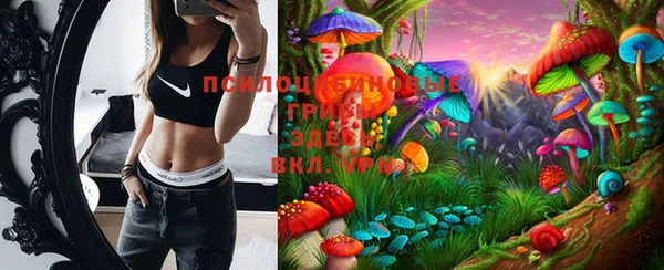 прущие грибы Кущёвская