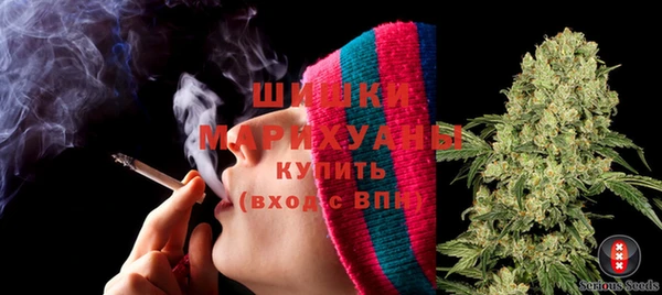 прущие грибы Кущёвская