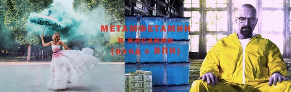 прущие грибы Кущёвская