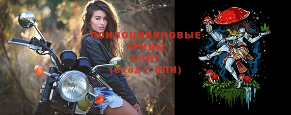 прущие грибы Кущёвская