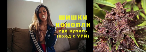 прущие грибы Кущёвская