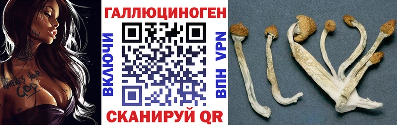 Галлюциногенные грибы Magic Shrooms  Купить  Удомля 